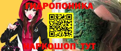 хмурый Гай
