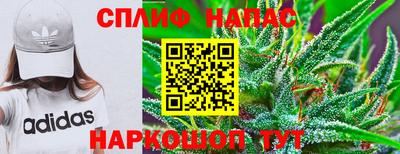 apvp Гагарин
